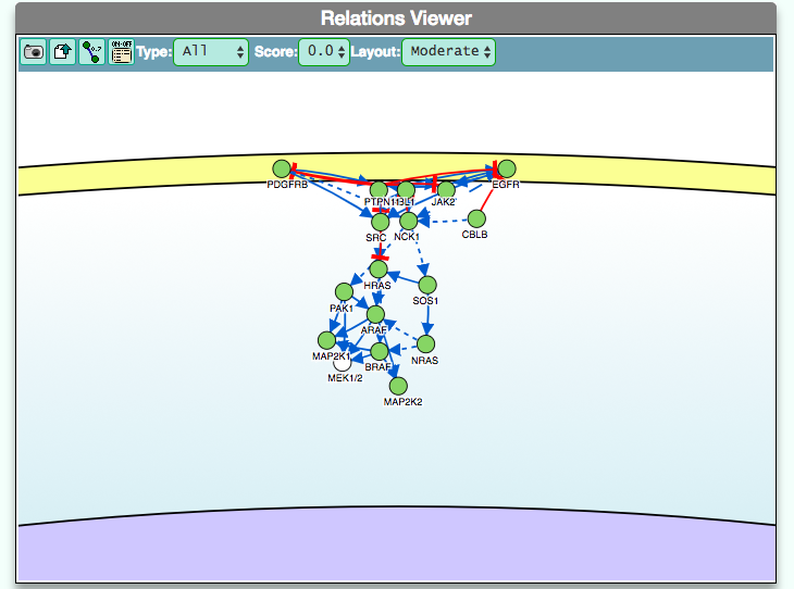 image of result viewer